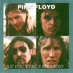 If You Were A Bluebird