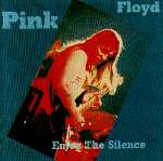 Enjoy The Silence